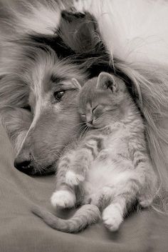Awwww...
