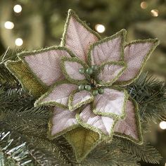 Natural Poinsettia O