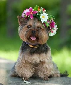so cute