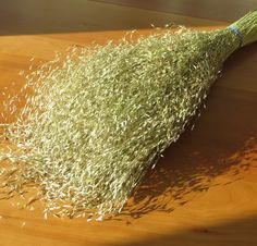 Indian Ricegrass, av